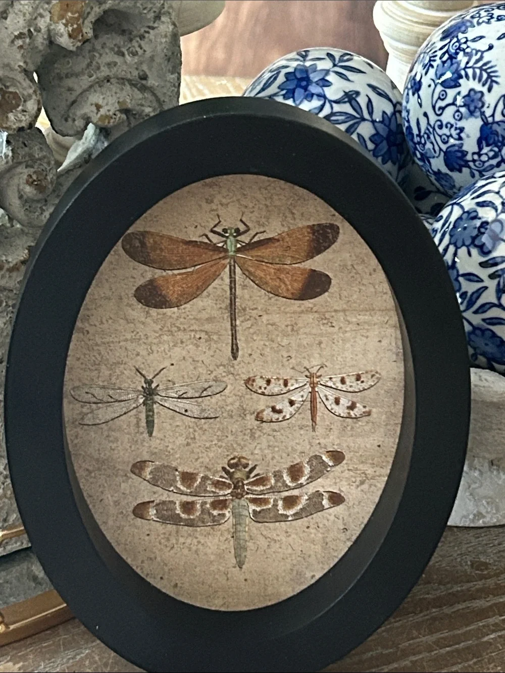 NEW! Vintage Inspired Shabby Chic Black Oval Cameo Dragonfly Wall Art